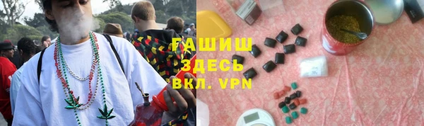 сатива Арсеньев