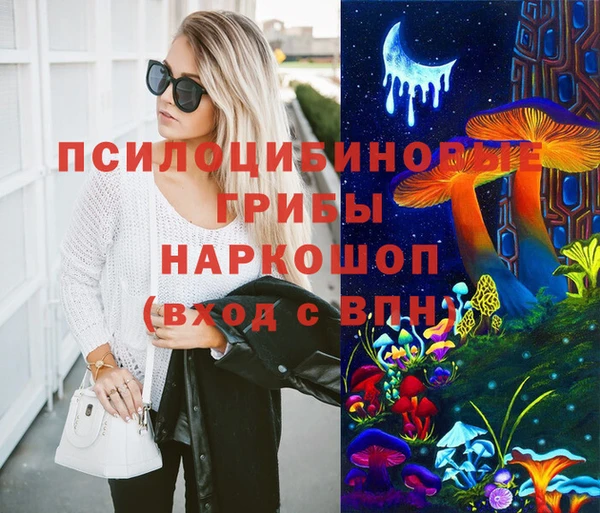 spice Аркадак