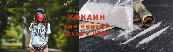сатива Арсеньев