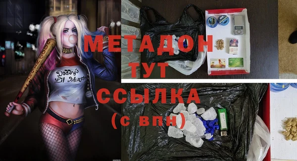 сатива Арсеньев