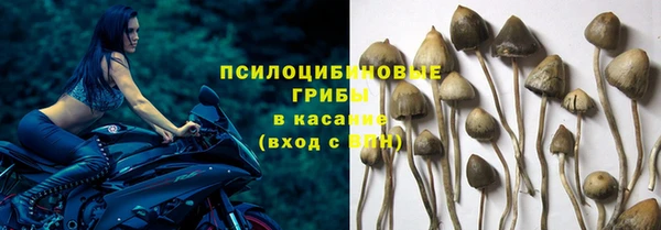 spice Аркадак