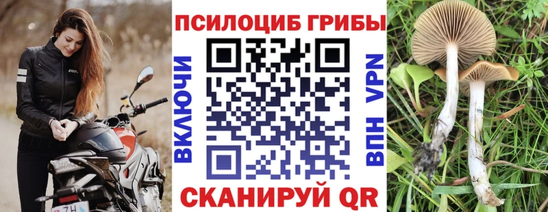 продажа наркотиков  mega tor  Галлюциногенные грибы прущие грибы  Унеча 